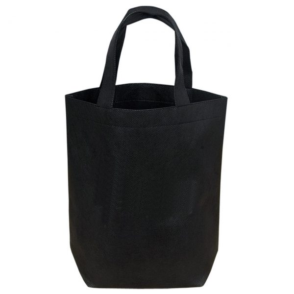 Non Woven Small Lunch Bags